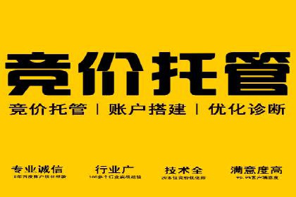 揭秘sem推广竞价托管的成功策略——多案例解析